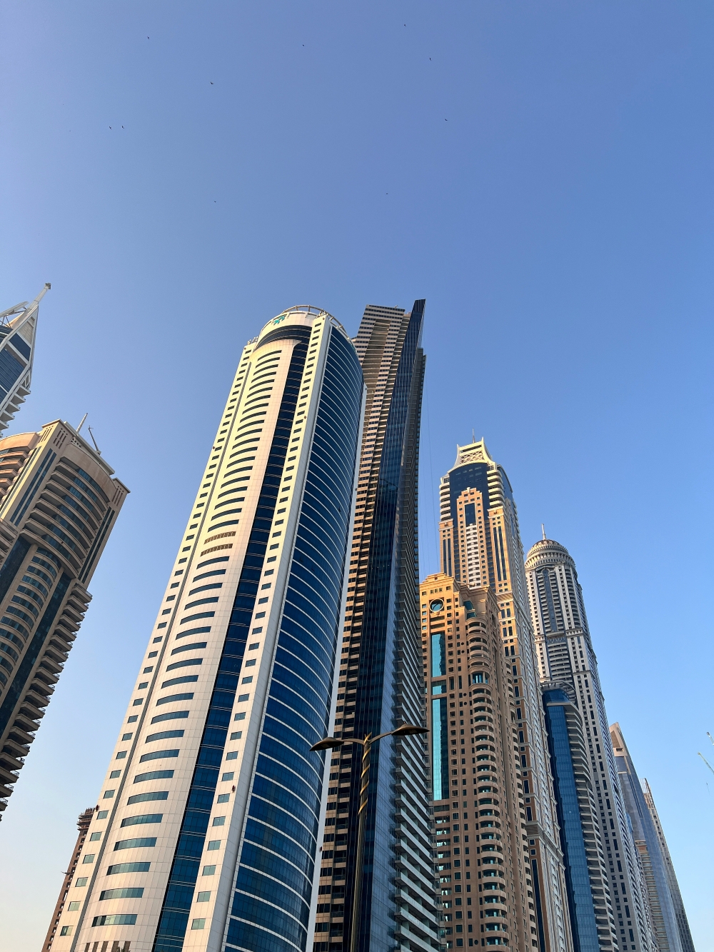 source_iq_consulting_contact